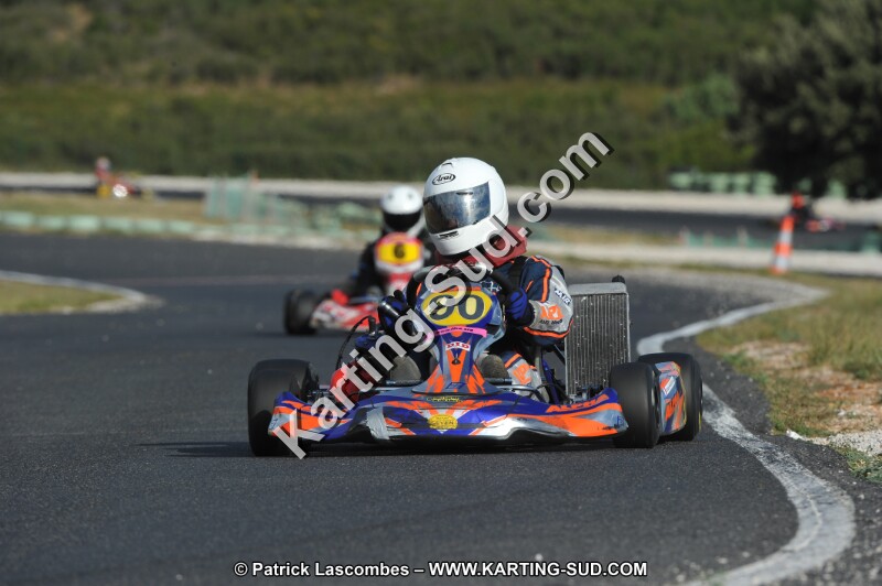 DSC (4017).JPG